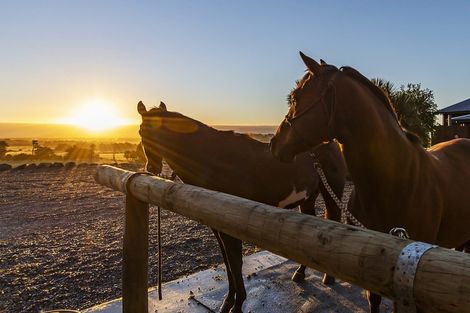 Photo of property in 125 Ashley Gorge Road, Starvation Hill, Oxford, 7495