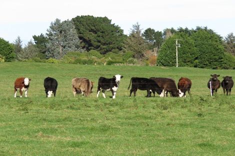 Photo of property in 60 Otatara Road, Otatara, Invercargill, 9879