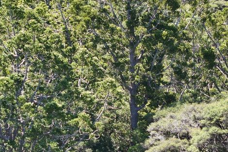 Photo of property in 113a Taemaro Road, Hihi, Mangonui, 0494