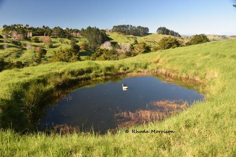 Photo of property in 330 Franklin Road, Paparoa, 0571