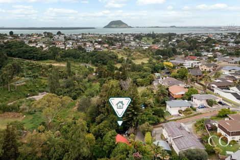 Photo of property in 22 Apollo Street, Otumoetai, Tauranga, 3110