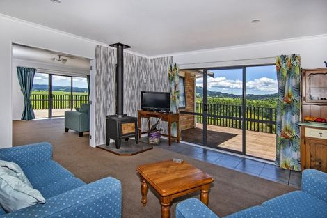 Photo of property in 69 Finlayson Road, Matarau, Whangarei, 0176