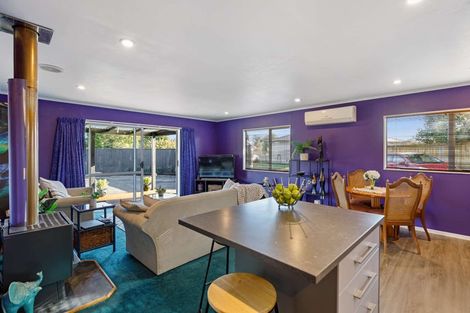 Photo of property in 12a Pharazyn Street, Feilding, 4702