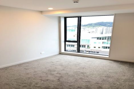 Photo of property in Vsp South, 1101/168 Victoria Street, Te Aro, Wellington, 6011