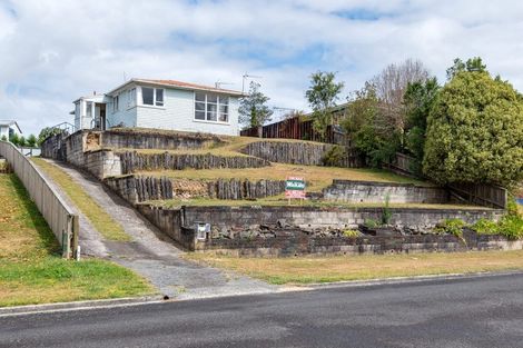Photo of property in 21 Bledisloe Avenue, Putaruru, 3411