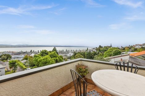 Photo of property in 14 George Street, Hospital Hill, Napier, 4110