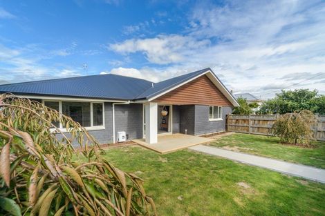 Photo of property in 5 Nelson Street, Feilding, 4702