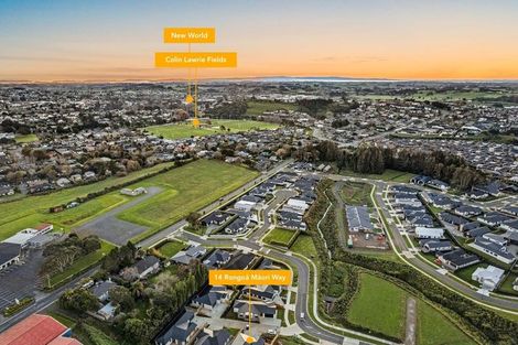Photo of property in 14 Rongoa Maori Way, Pukekohe, 2120
