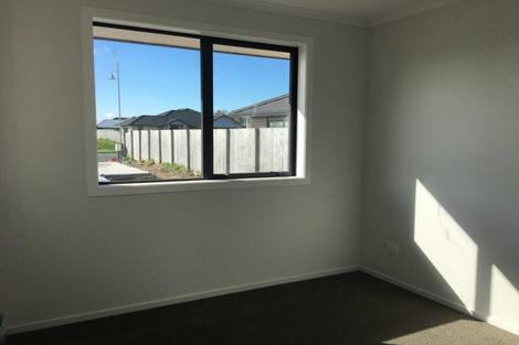 Photo of property in 217 Borman Road, Rototuna North, Hamilton, 3210