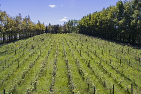 Photo of property in 16 Amberley Beach Road, Amberley, 7410