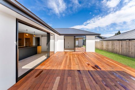 Photo of property in 11 Tuia Lane, Richmond, 7020