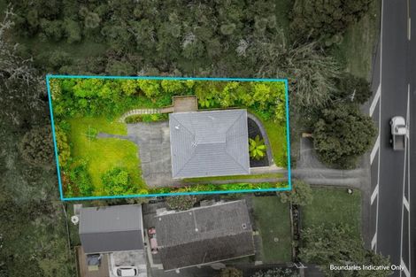 Photo of property in 53 Pine Avenue, Henderson, Auckland, 0612