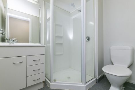 Photo of property in Orange Apartments/victoria Centr, 309/169 The Terrace, Wellington Central, Wellington, 6011