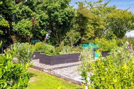 Photo of property in 315 Tarata Road, Norfolk, Inglewood, 4387