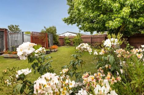 Photo of property in 196 Maxwell Road, Redwoodtown, Blenheim, 7201