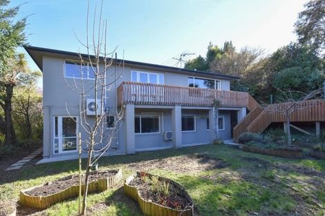 Photo of property in 45 Leven Street, Roslyn, Dunedin, 9010