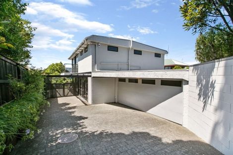 Photo of property in 101a Te Kawa Road, Greenlane, Auckland, 1061