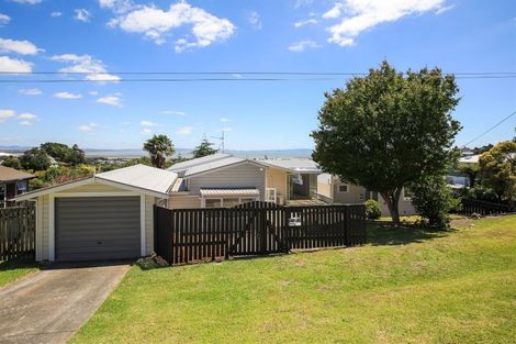 Photo of property in 305 Hill Street, Thames, 3500