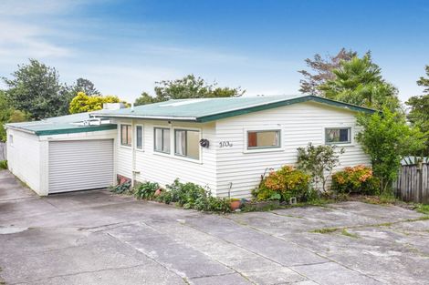 Photo of property in 103a Woodglen Road, Glen Eden, Auckland, 0602