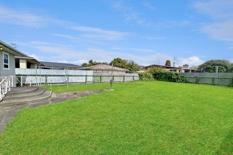 Photo of property in 52 Birmingham Street, Takaro, Palmerston North, 4412