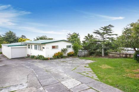 Photo of property in 103a Woodglen Road, Glen Eden, Auckland, 0602