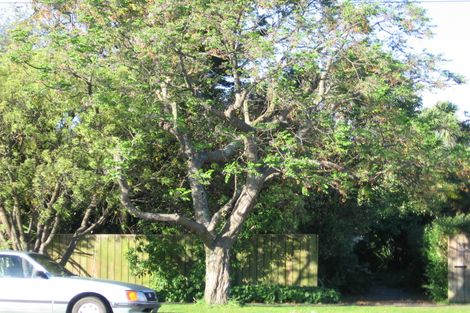 Photo of property in 157 Ormond Road, Whataupoko, Gisborne, 4010