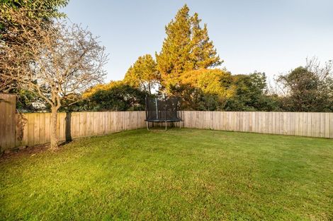 Photo of property in 22 Bellfield Place, Bethlehem, Tauranga, 3110