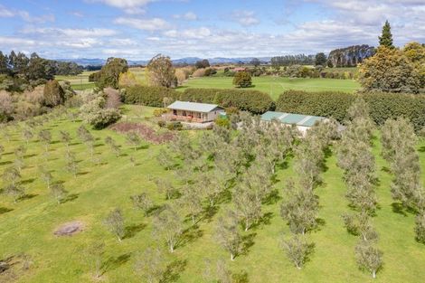 Photo of property in 124 Mangatarere Valley Road, Carrington, Carterton, 5791