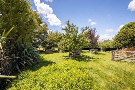 Photo of property in 107 Norfolk Road, Norfolk, Inglewood, 4388