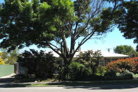Photo of property in 178 Scott Street, Redwoodtown, Blenheim, 7201