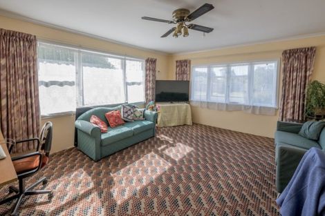 Photo of property in 11 Carlisle Street, Levin, 5510