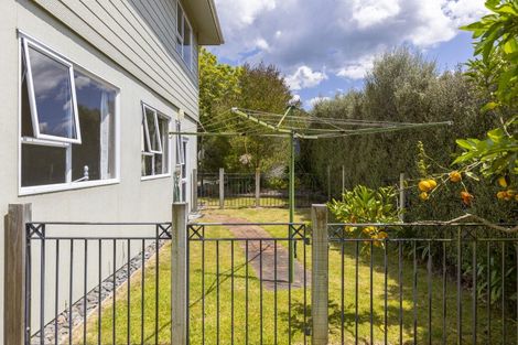 Photo of property in 43 Kaimanawa Street, Taupo, 3330