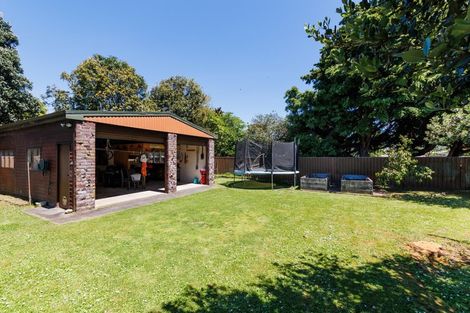 Photo of property in 193 The Terrace, Ashhurst, 4810