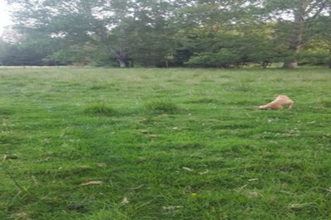 Photo of property in 84 Rigden Road, Opua, 0272