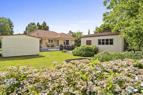 Photo of property in 141 Victoria Street, Cambridge, 3434