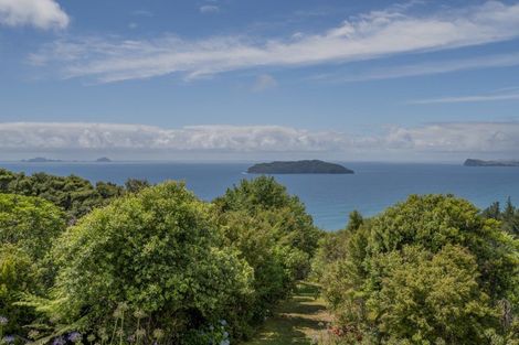 Photo of property in 127 Pumpkin Hill Road, Pumpkin Hill, Whitianga, 3591