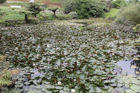 Photo of property in 6 Ponga Place, Highlands Park, New Plymouth, 4312