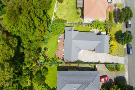 Photo of property in 49 Millstream Drive, Henderson, Auckland, 0610
