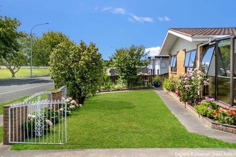 Photo of property in 329 Westminster Avenue, Tamatea, Napier, 4112