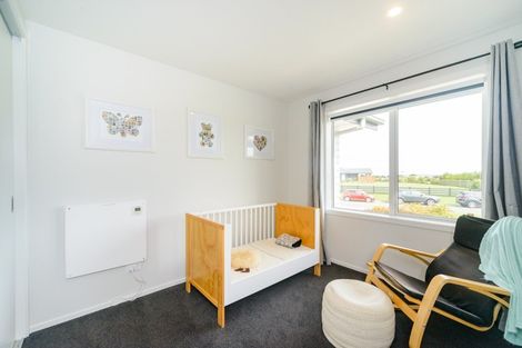 Photo of property in 60 Wapiti Avenue, Feilding, 4775