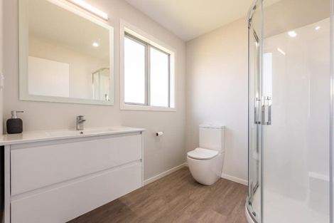 Photo of property in 299a Oxford Terrace, Avalon, Lower Hutt, 5011