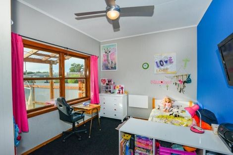 Photo of property in 913a Dufferin Street, Akina, Hastings, 4122