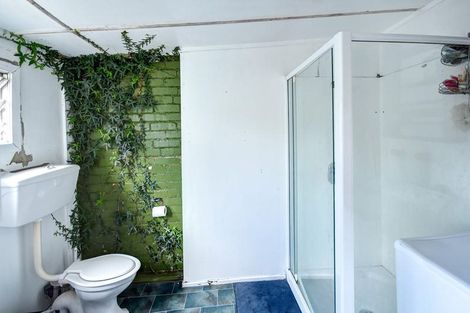 Photo of property in 81 Opoho Road, Opoho, Dunedin, 9010