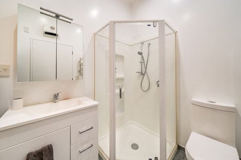 Photo of property in Edward Street Apartments, 18/3 Edward Street, Te Aro, Wellington, 6011