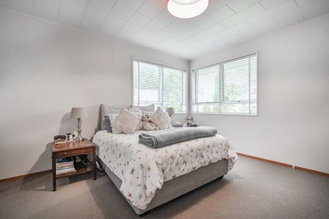 Photo of property in 60 Mchardy Street, Havelock North, 4130