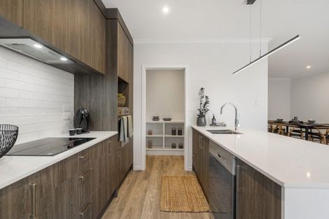 Photo of property in 70 Waterlily Street, Hobsonville, Auckland, 0616