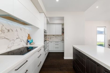 Photo of property in 16 Raptor Street, Rolleston, 7615