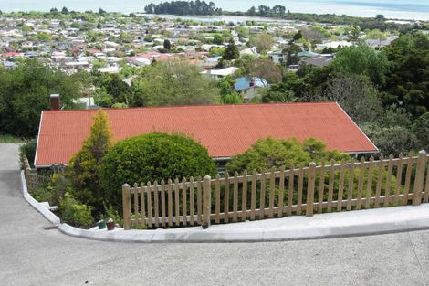 Photo of property in 19 Rangiora Terrace, Tahunanui, Nelson, 7011