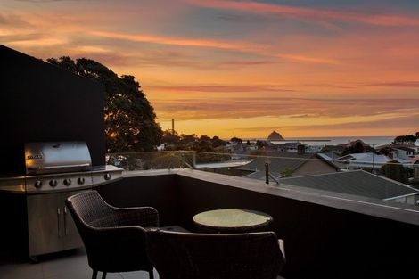 Photo of property in 244a Saint Aubyn Street, New Plymouth, 4310