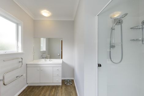 Photo of property in 456 Ruahine Street, Terrace End, Palmerston North, 4410